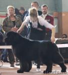 Превью фото № 40834