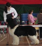 Превью фото № 40835