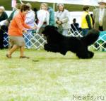 Превью фото № 40859