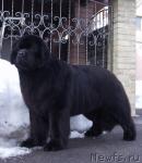 Превью фото № 40955