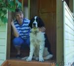 Превью фото № 40965