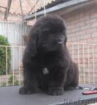 Превью фото № 40977