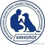 Превью фото № 40994