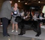 Превью фото № 41105