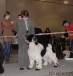 Превью фото № 41110