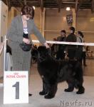 Превью фото № 41161