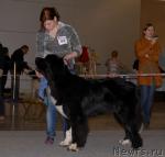 Превью фото № 41169