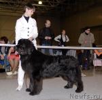 Превью фото № 41173