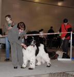 Превью фото № 41174