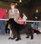 Превью фото № 41175