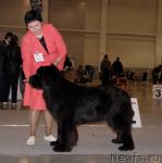 Превью фото № 41184