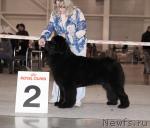 Превью фото № 41201