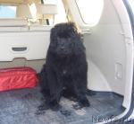 Превью фото № 41286