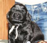 Превью фото № 41510