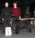 Превью фото № 41637