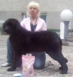 Превью фото № 41665