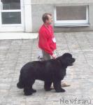 Превью фото № 41702