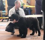 Превью фото № 41777