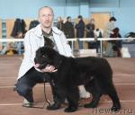 Превью фото № 41778