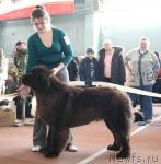 Превью фото № 41781