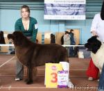 Превью фото № 41785