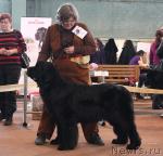 Превью фото № 41788