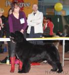 Превью фото № 41798