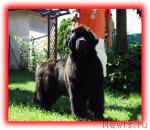 Превью фото № 418