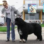 Превью фото № 41887