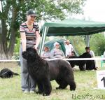 Превью фото № 42092