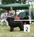 Превью фото № 42093