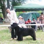 Превью фото № 42096