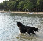 Превью фото № 4210