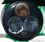 Превью фото № 42114