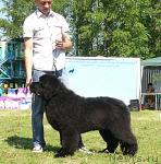 Превью фото № 42117