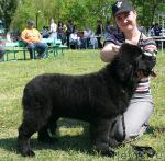 Превью фото № 42130