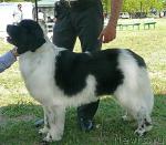 Превью фото № 42138