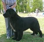 Превью фото № 42148