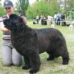 Превью фото № 42193