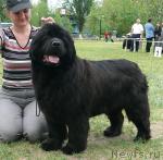 Превью фото № 42197