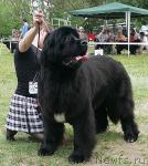 Превью фото № 42198