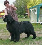 Превью фото № 42200