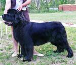 Превью фото № 42204