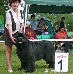 Превью фото № 42207