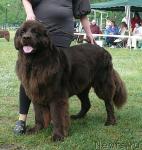 Превью фото № 42212