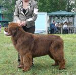 Превью фото № 42213