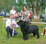 Превью фото № 42221