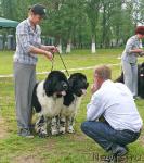Превью фото № 42223