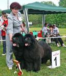 Превью фото № 42224