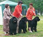 Превью фото № 42231